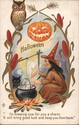 Hallowe'en I'm Brewing Now For You A Charm, It Will Bring Good Luck And Keep You From Harm Halloween Postcard Postcard Postcard