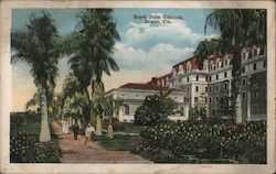 Royal Palm Grounds Postcard