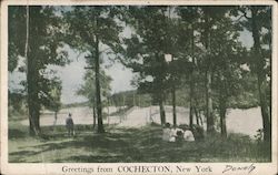 Scenic View Cochecton, NY Postcard Postcard Postcard